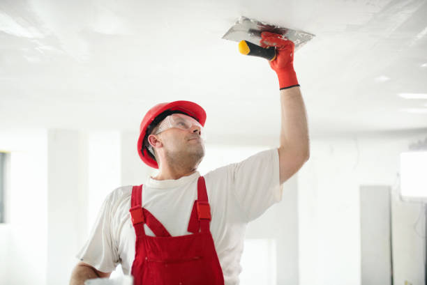 Environmental Consulting for Mold Prevention in Marianna, FL