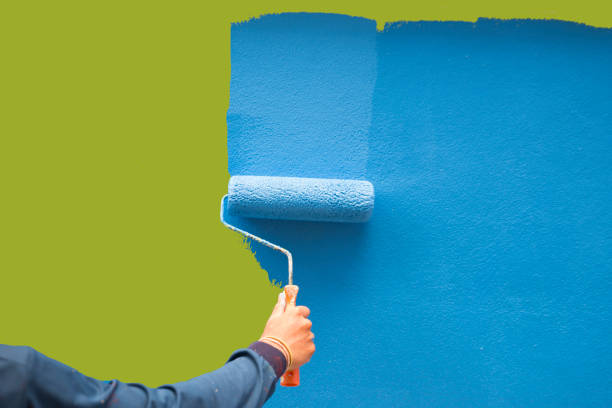 Best Emergency Mold Remediation  in Marianna, FL